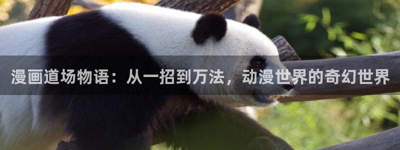 好漫漫漫画网页入口