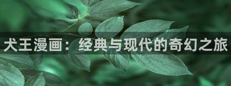 韩漫漫漫画免费版在线阅读