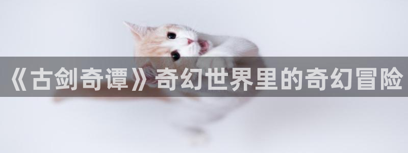 漫漫漫画免费版